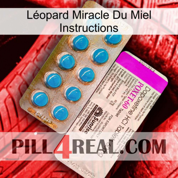 Léopard Miracle Du Miel Instructions new07